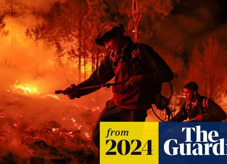 Лесные пожары и коронавирус: вышла игра по мотивам 2020 года